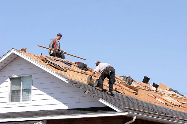 Best Asphalt Shingle Roofing  in Greenwood, SC